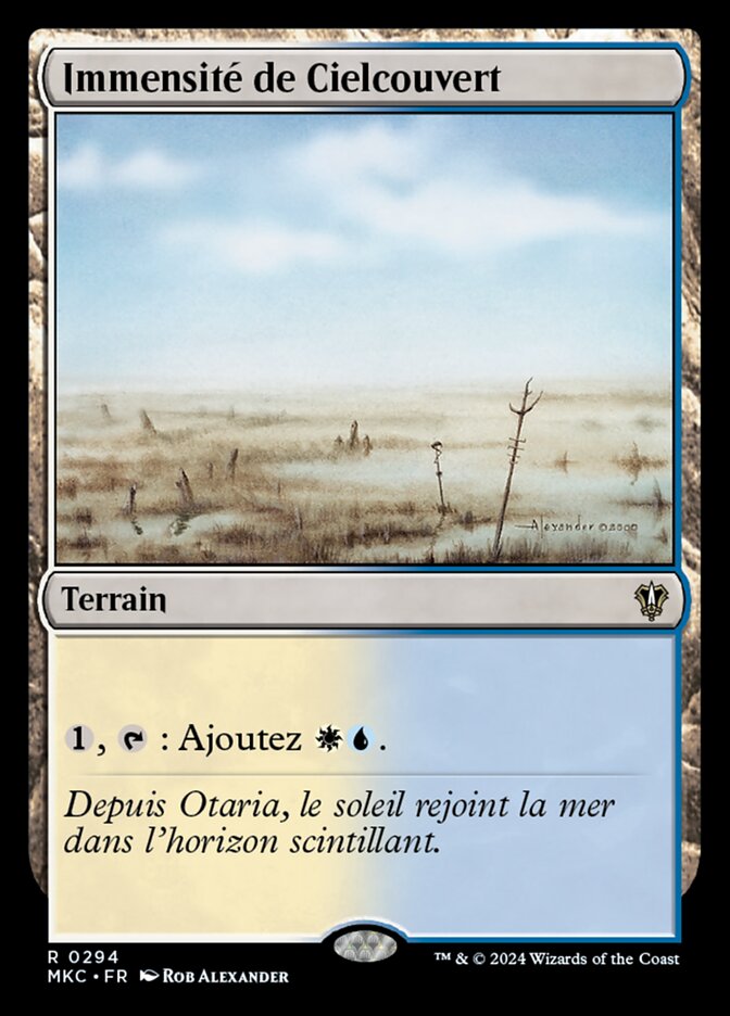 Immensité de Cielcouvert