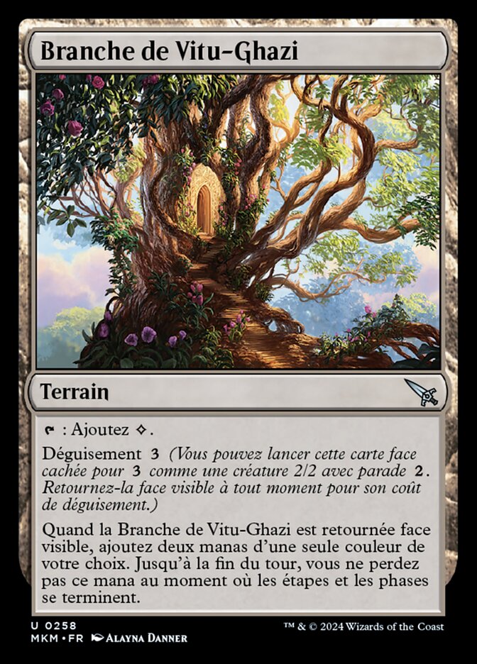 Branche de Vitu-Ghazi