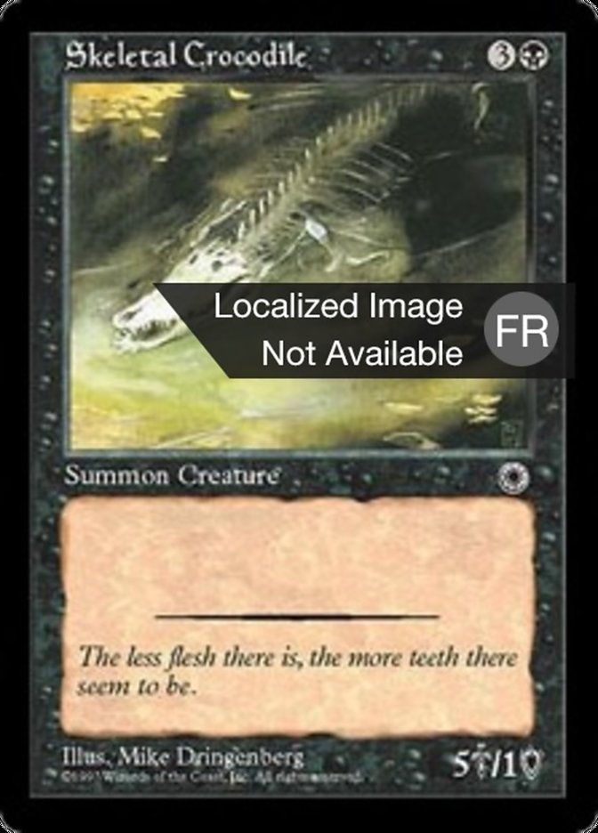 Crocodile squelette