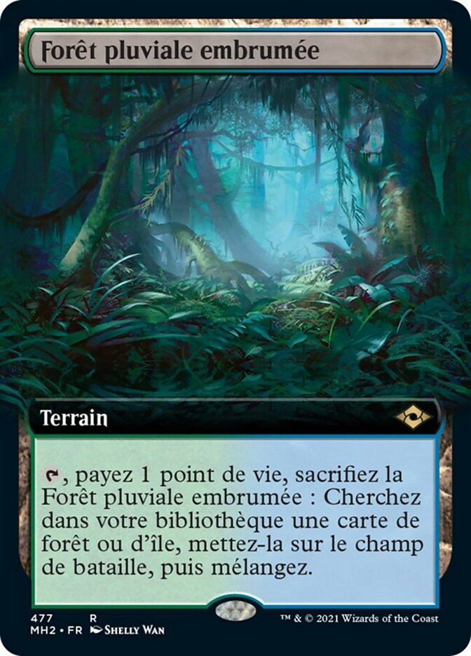 Forêt pluviale embrumée