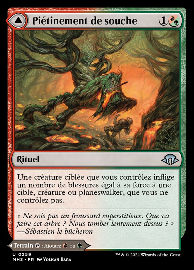 Piétinement de souche