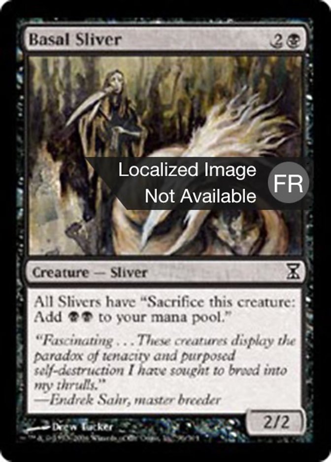 Slivoïde fondamental