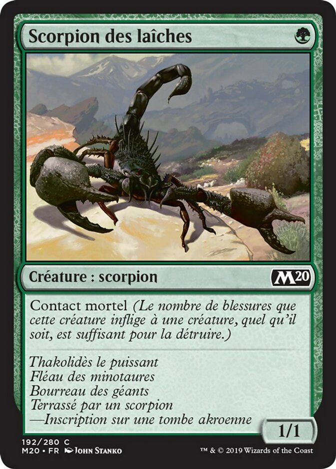 Scorpion des laîches