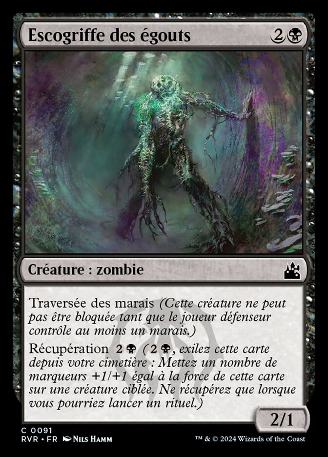 Escogriffe des égouts