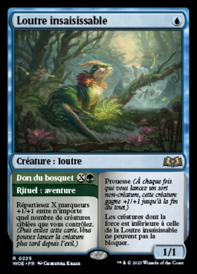 Loutre insaisissable