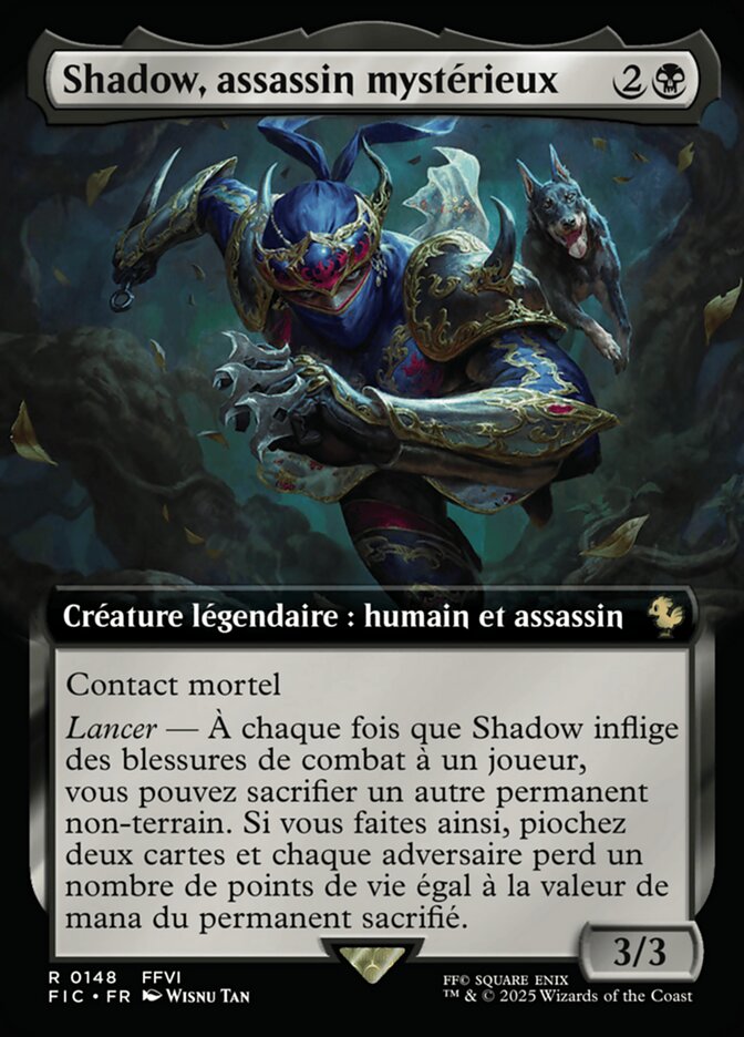 Shadow, assassin mystérieux