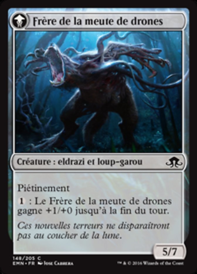 Proscrit de la meute Vildin