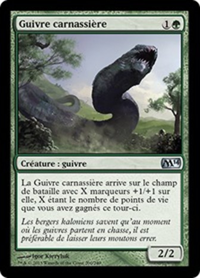 Guivre carnassière