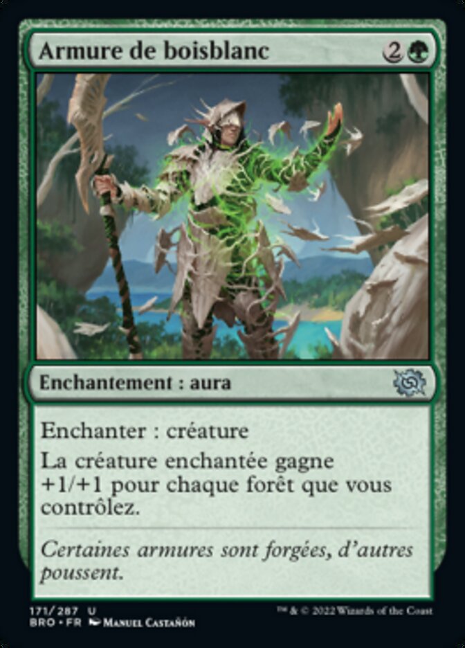 Armure de boisblanc