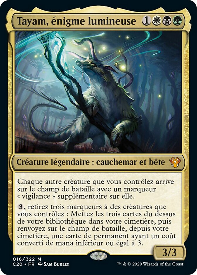 Tayam, énigme lumineuse