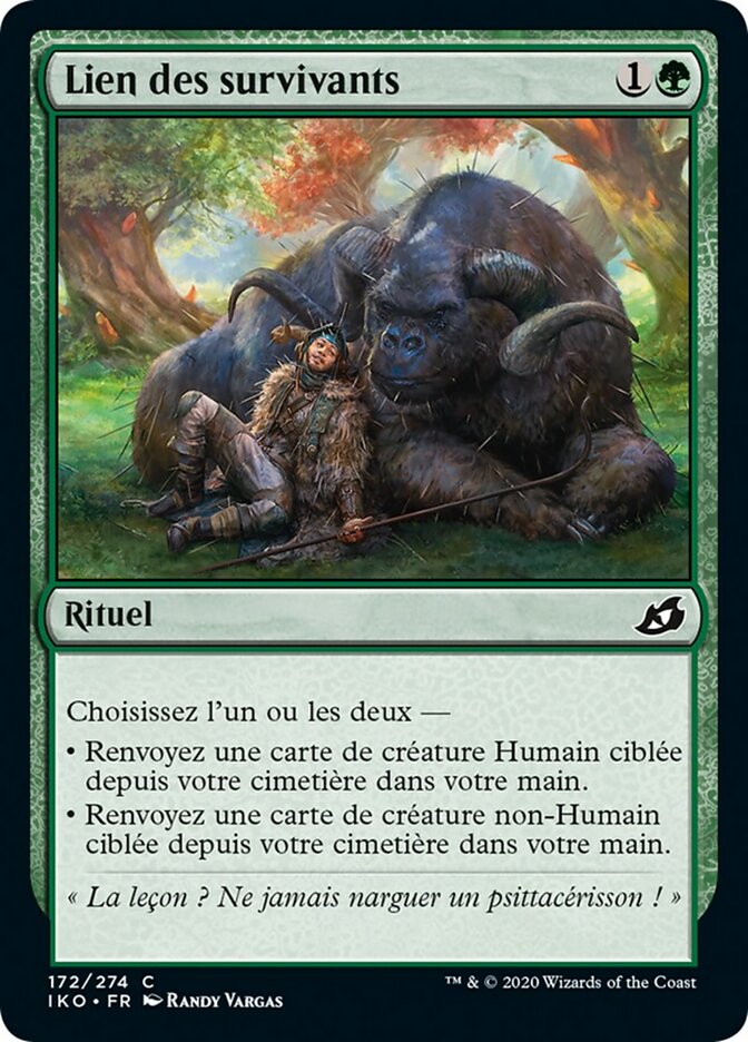 Lien des survivants