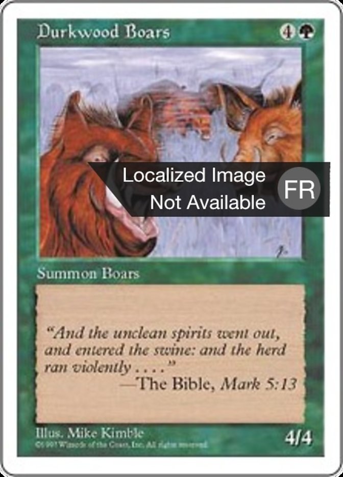 Sangliers de Boissambre