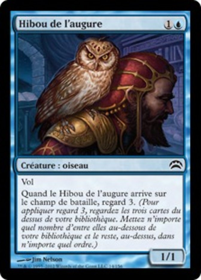 Hibou de l'augure