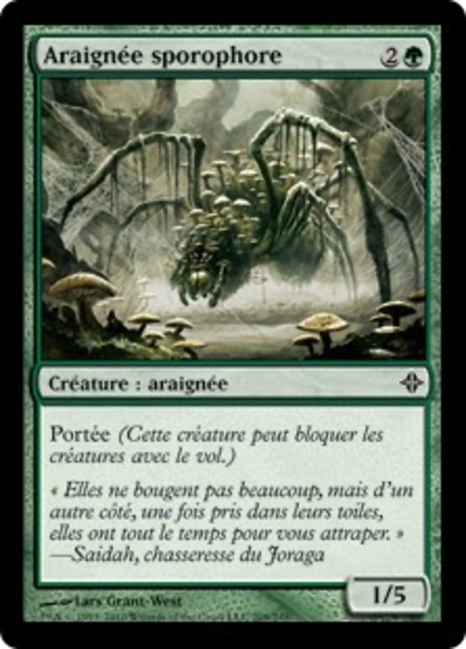 Araignée sporophore