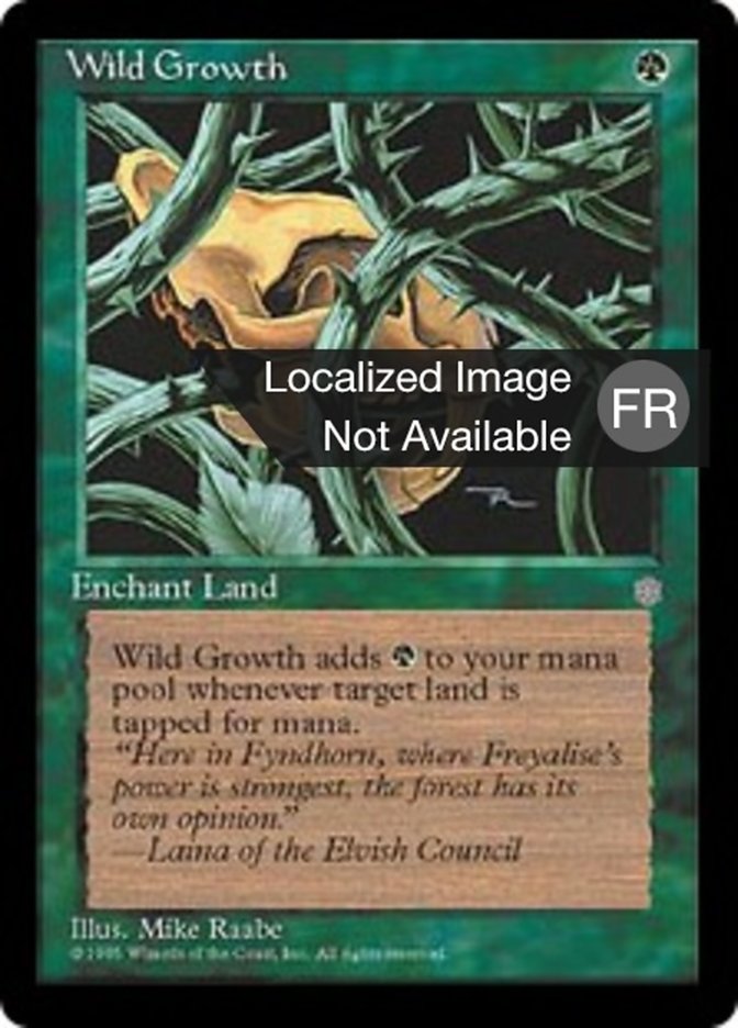 Végétation luxuriante