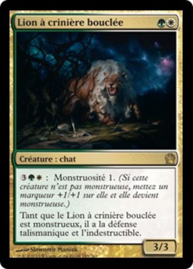 Lion à crinière bouclée