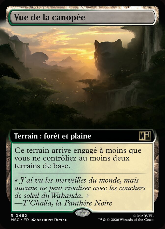 Vue de la canopée