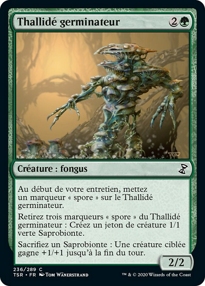 Thallidé germinateur