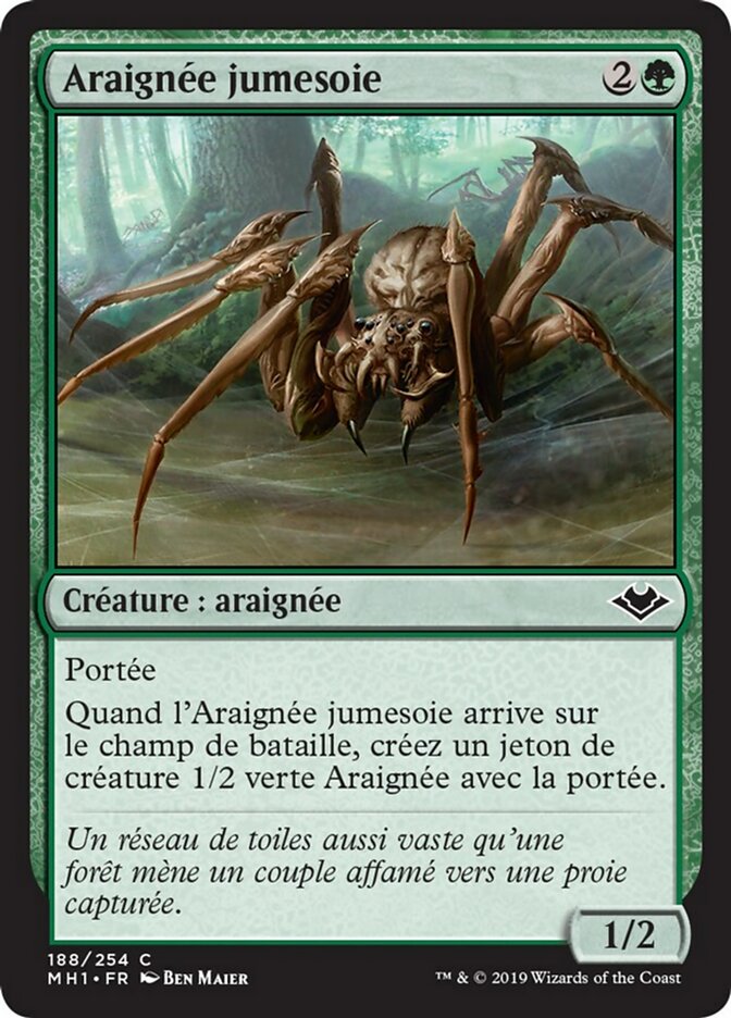 Araignée jumesoie