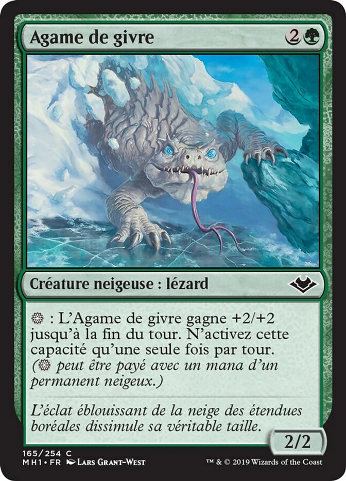 Agame de givre
