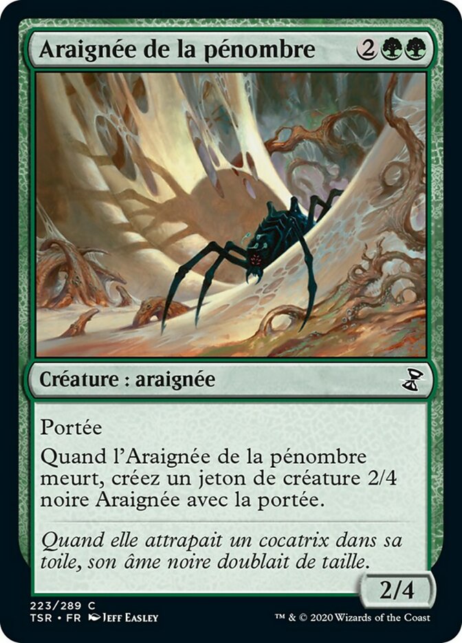 Araignée de la pénombre
