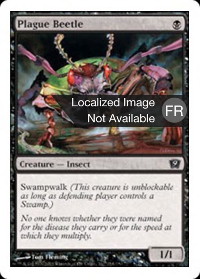 Scarabée de la Peste