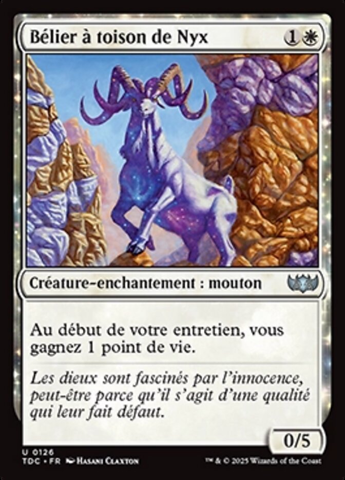 Bélier à toison de Nyx