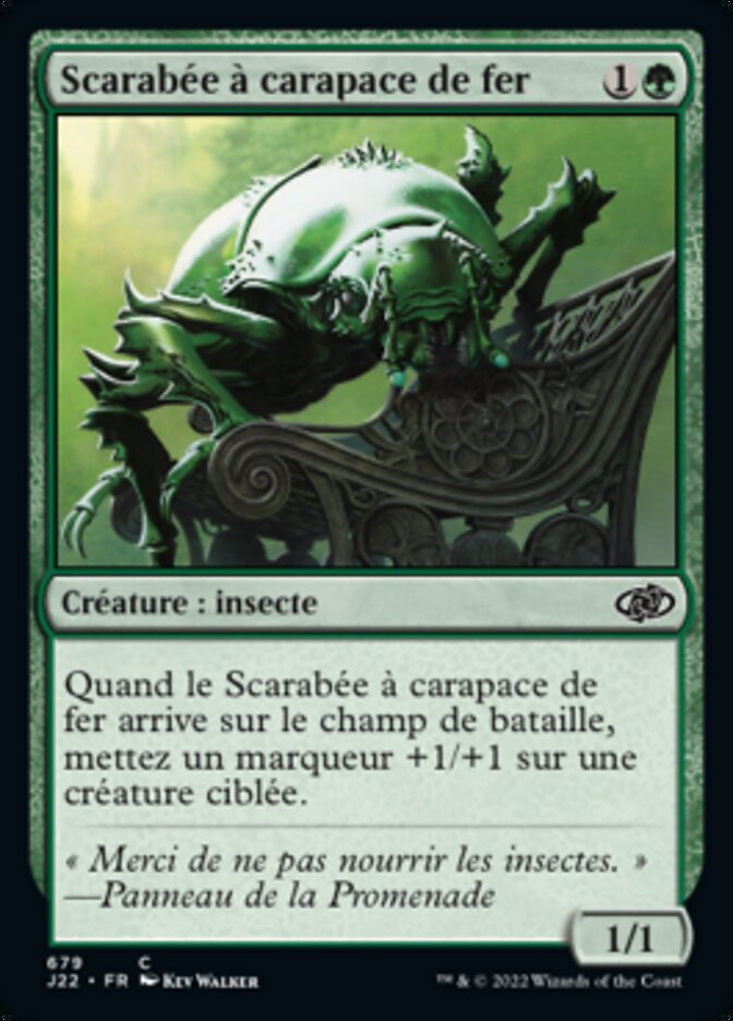Scarabée à carapace de fer