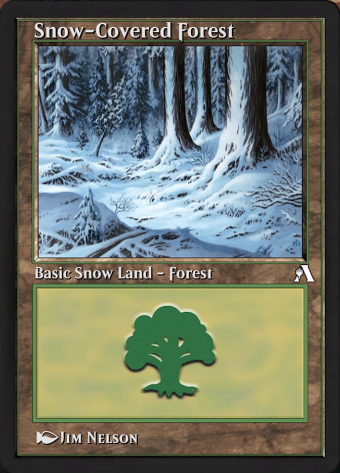 Snow-Covered Forest