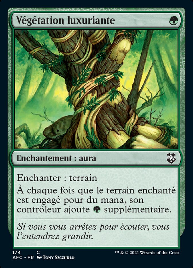 Végétation luxuriante