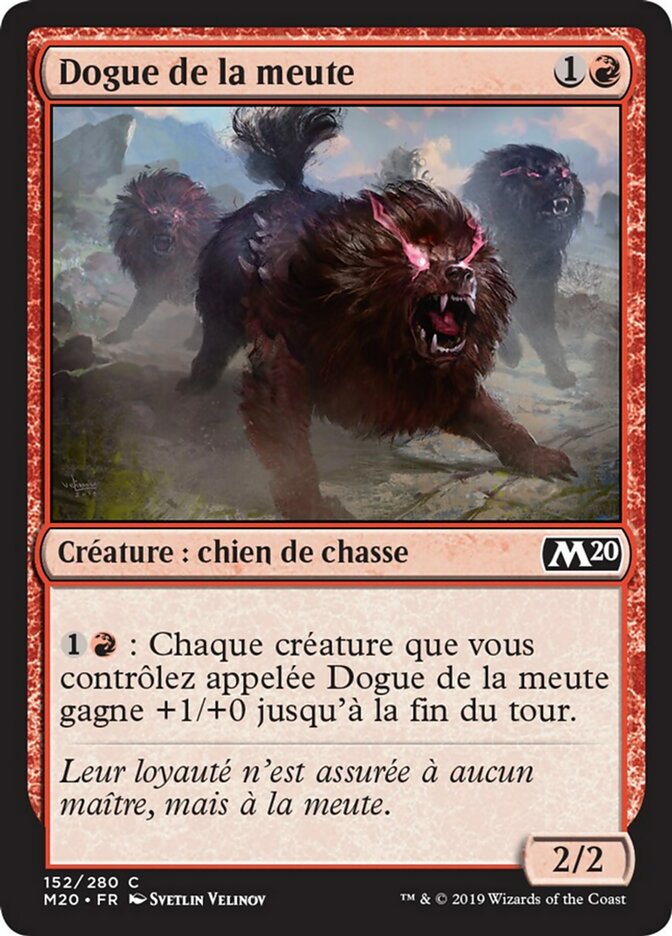 Dogue de la meute