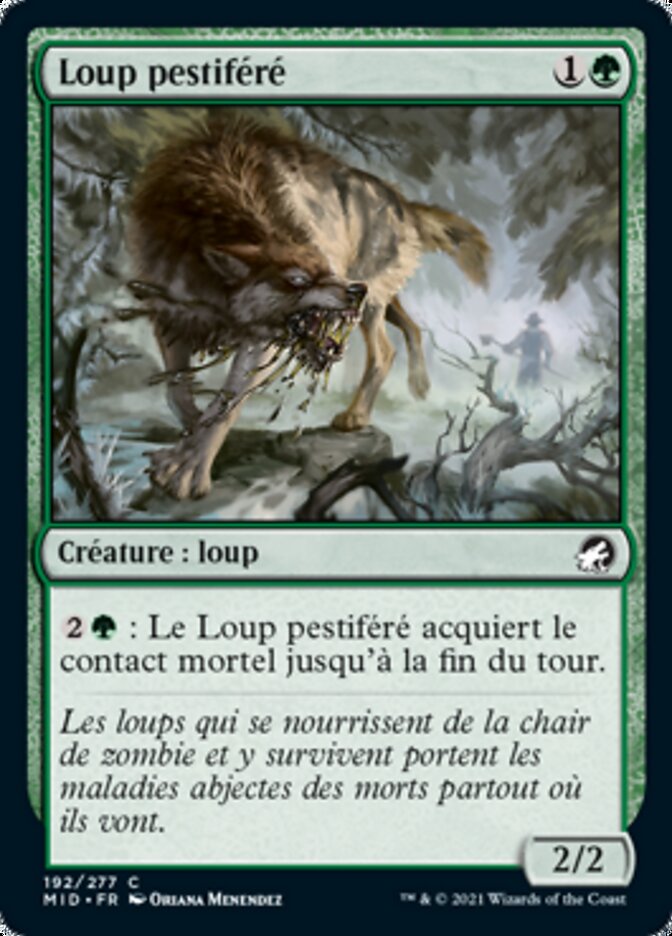 Loup pestiféré