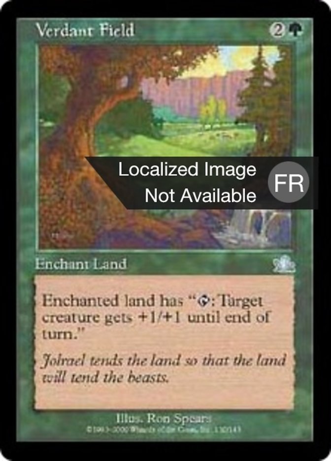 Champ verdoyant