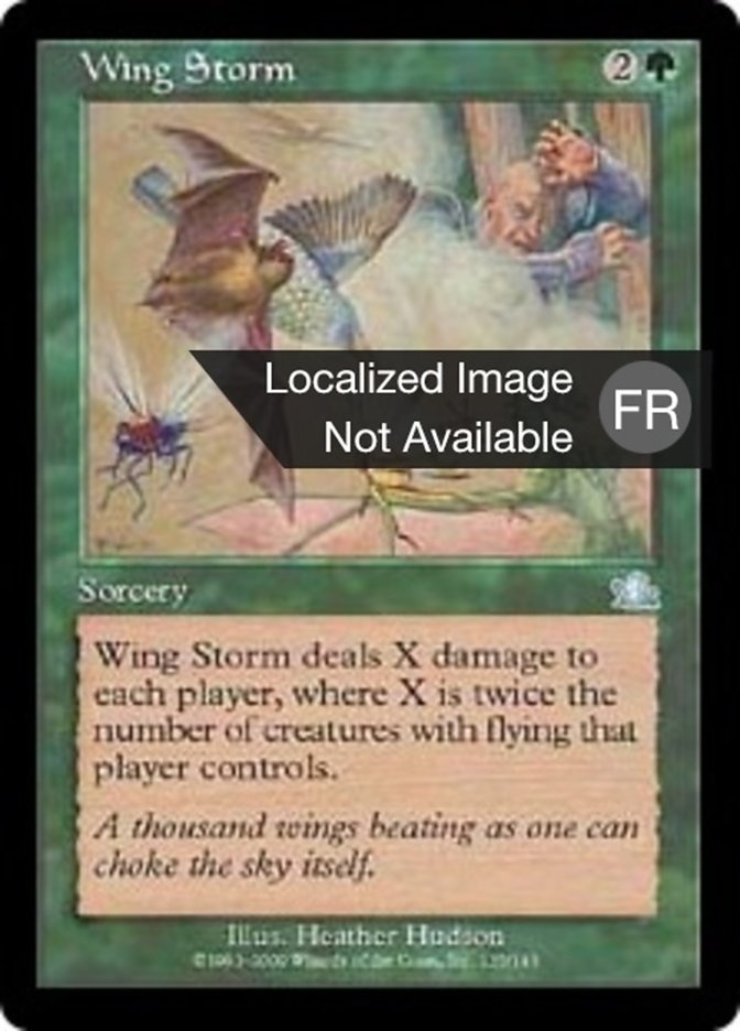Tempête d'ailes