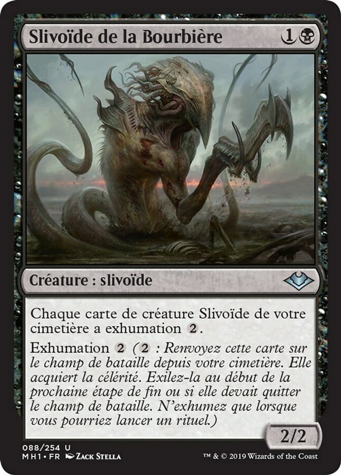 Slivoïde de la Bourbière