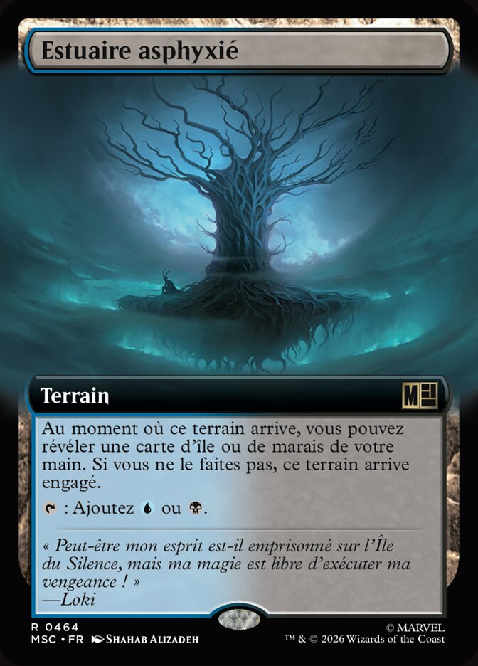 Estuaire asphyxié
