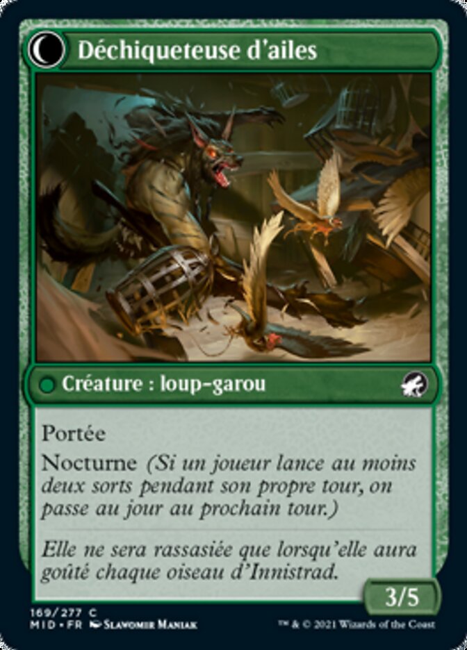 Admiratrice d'oiseaux