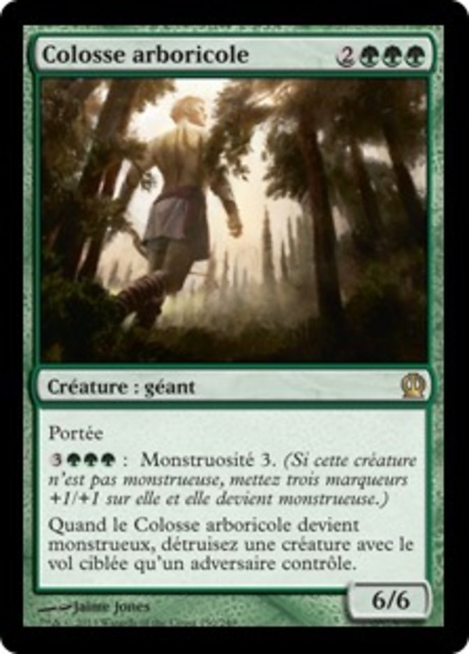 Colosse arboricole