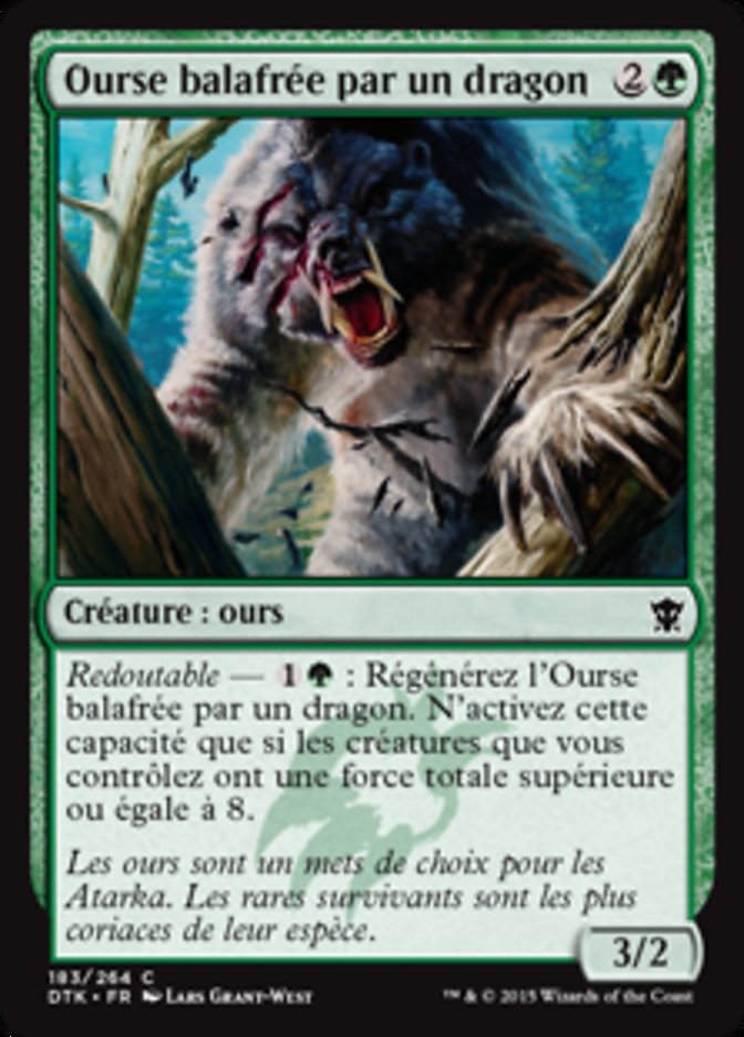 Ourse balafrée par un dragon