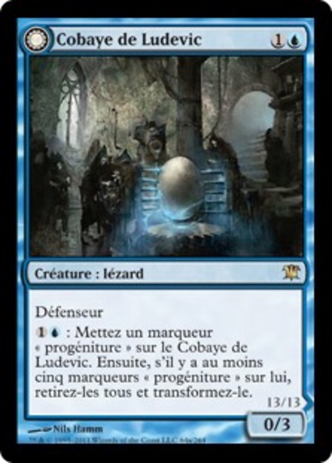 Cobaye de Ludevic