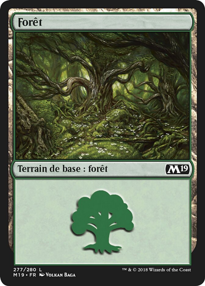 Forêt