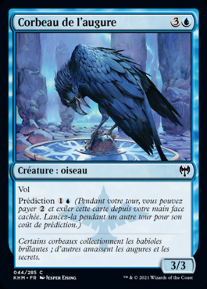 Corbeau de l'augure