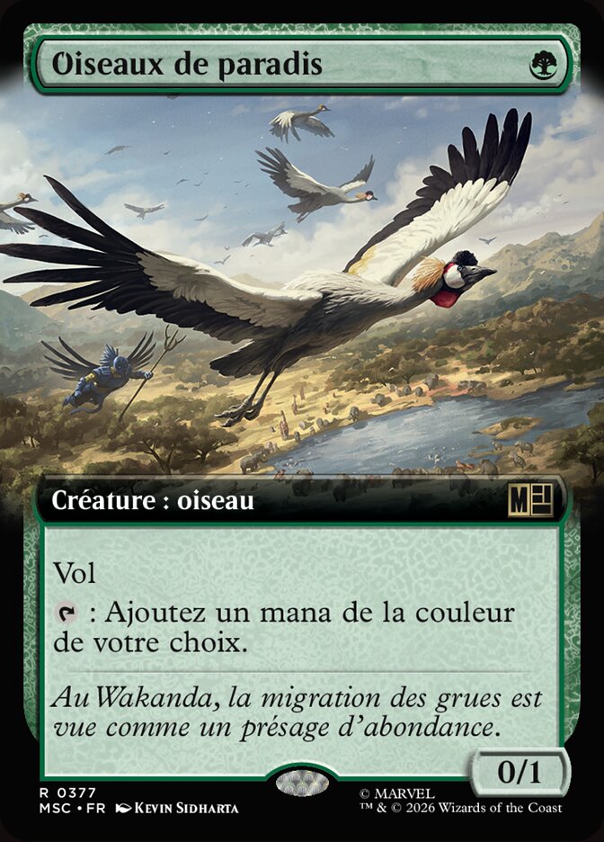 Oiseaux de paradis