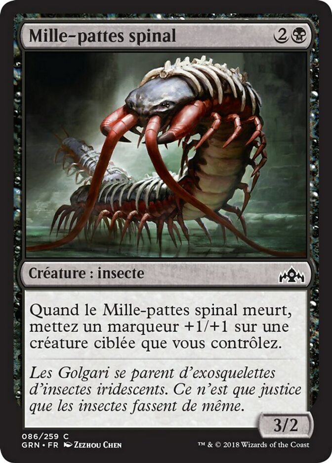 Mille-pattes spinal