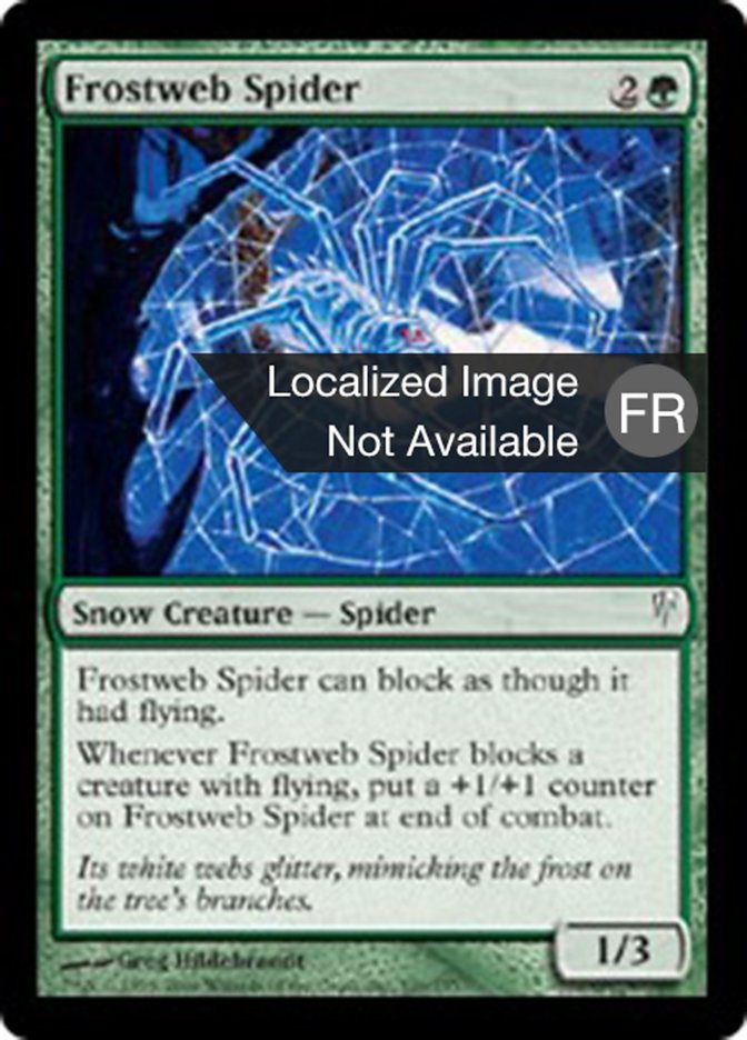 Araignée toilegivre