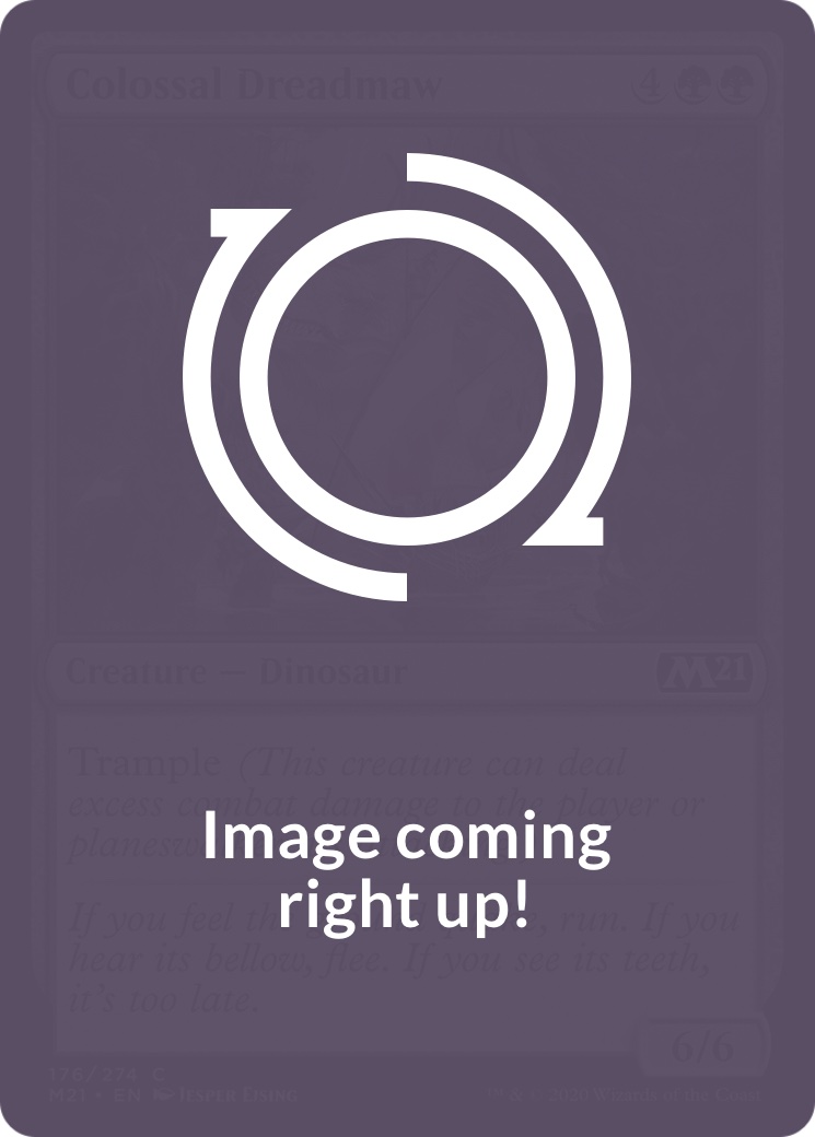 Hei Bai, gardien de la forêt