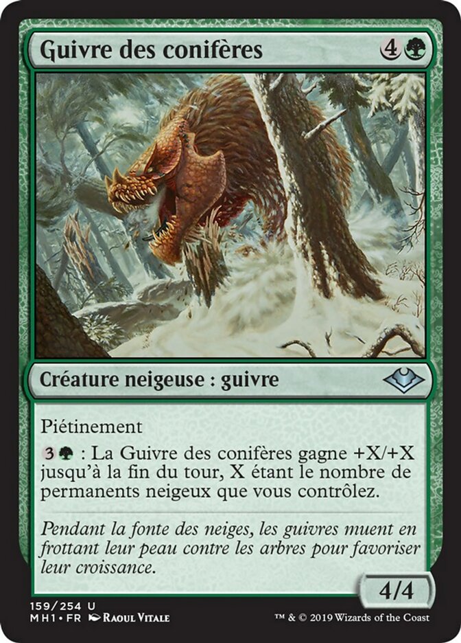 Guivre des conifères