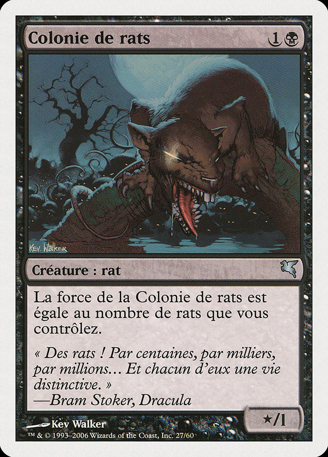 Colonie de rats