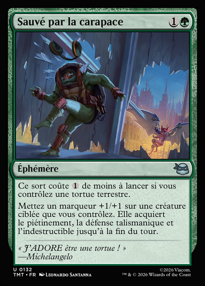 Sauvé par la carapace