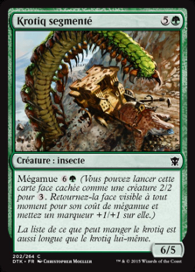 Krotiq segmenté